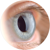 Vitreo Retina and Diabetic Retinopathy Clinic